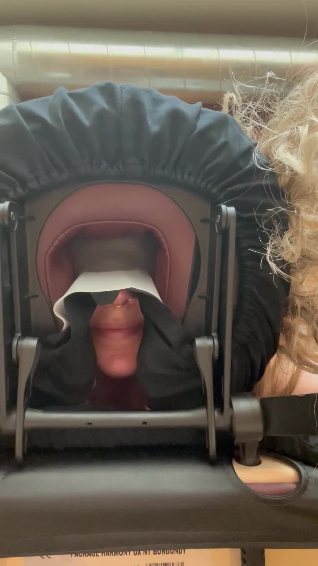 Video 1374056 from stephinspace