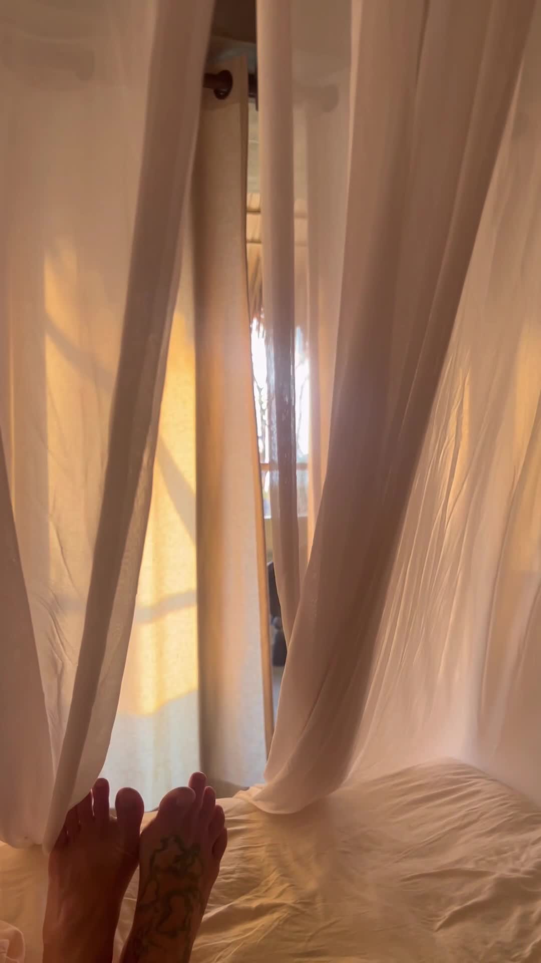 Video 1374184 from stephinspace