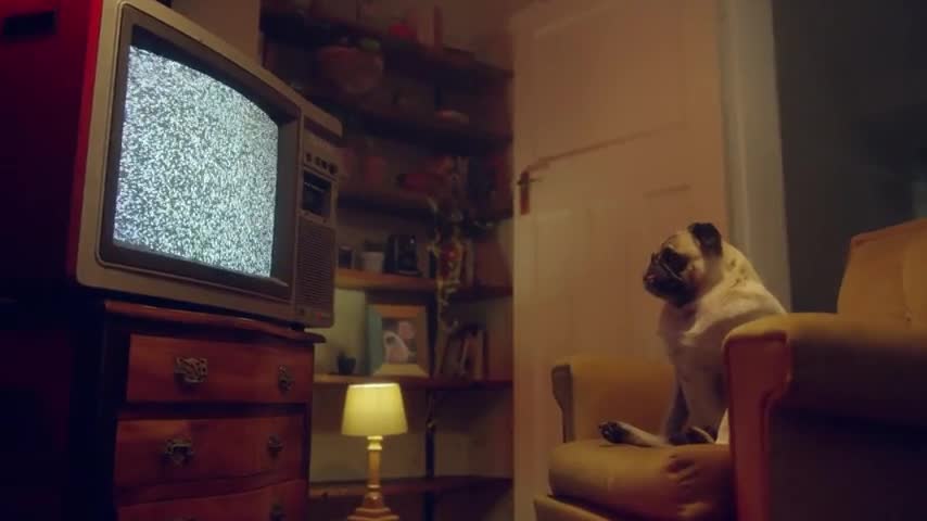 Video 1376255 from Eden Ivy
