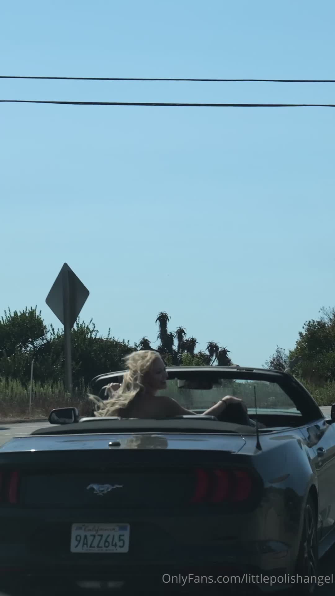 Video 1378418 from Stella Barey