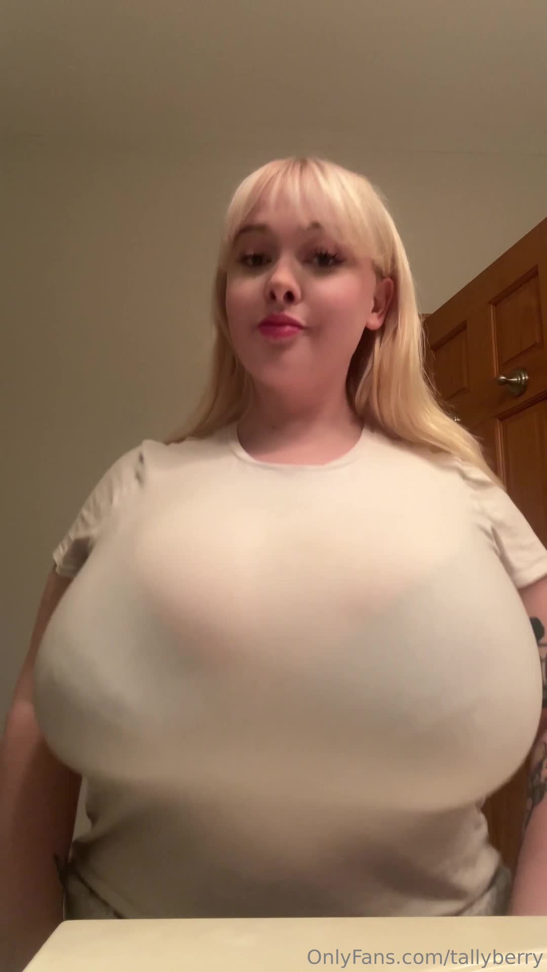 Video 1378977 from tallyberry / tallyberryy