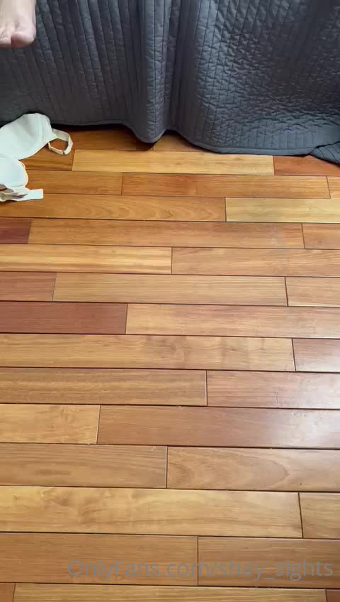 Video 1381611 from Shay Sights