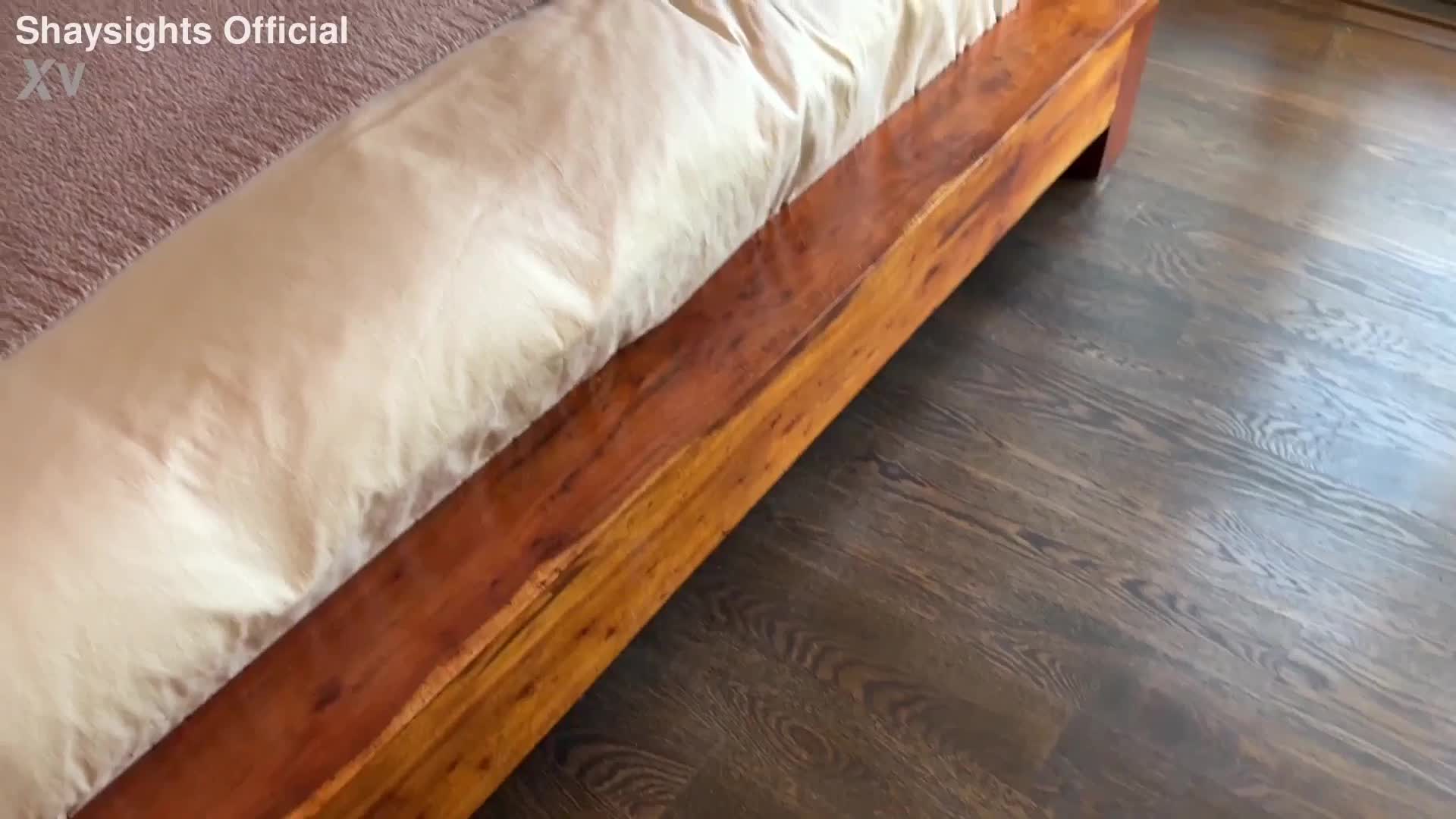 Video 1381618 from Shay Sights