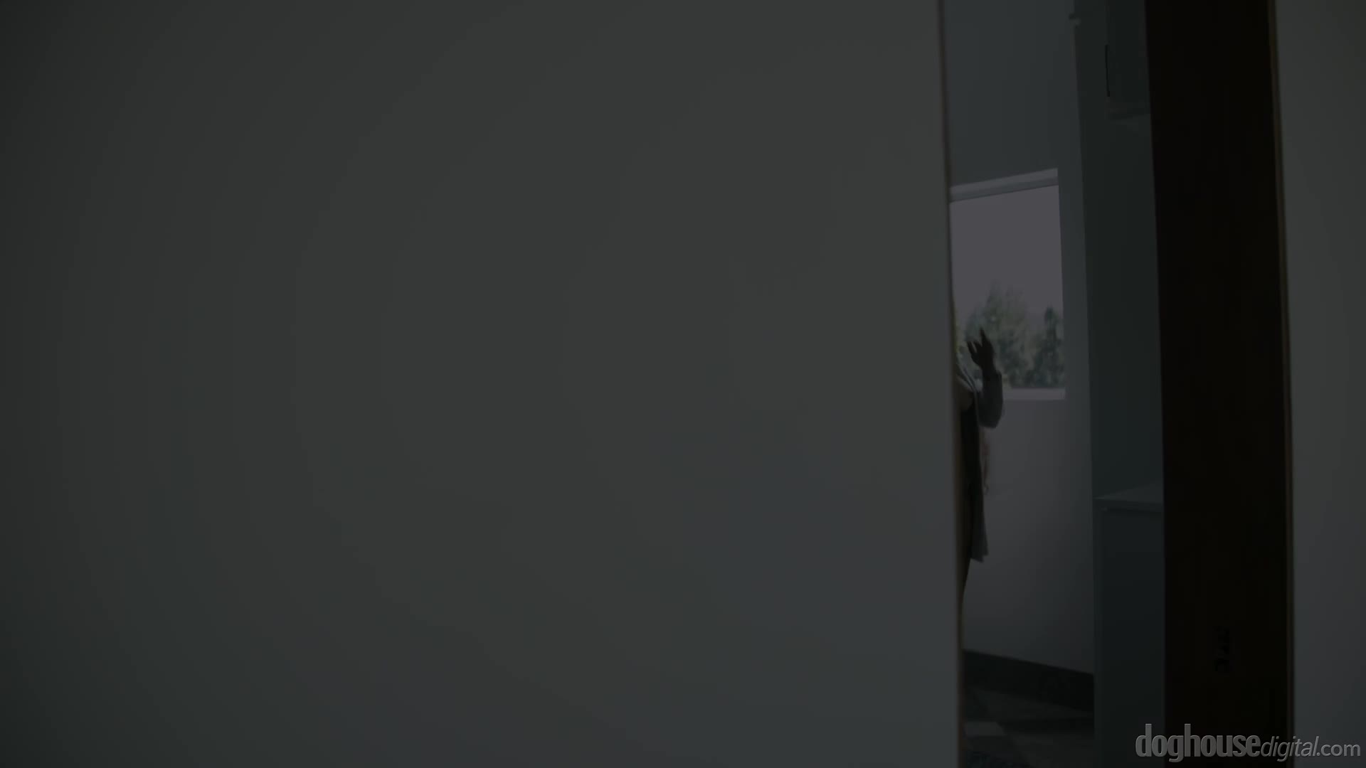 Video 1381616 from Shay Sights
