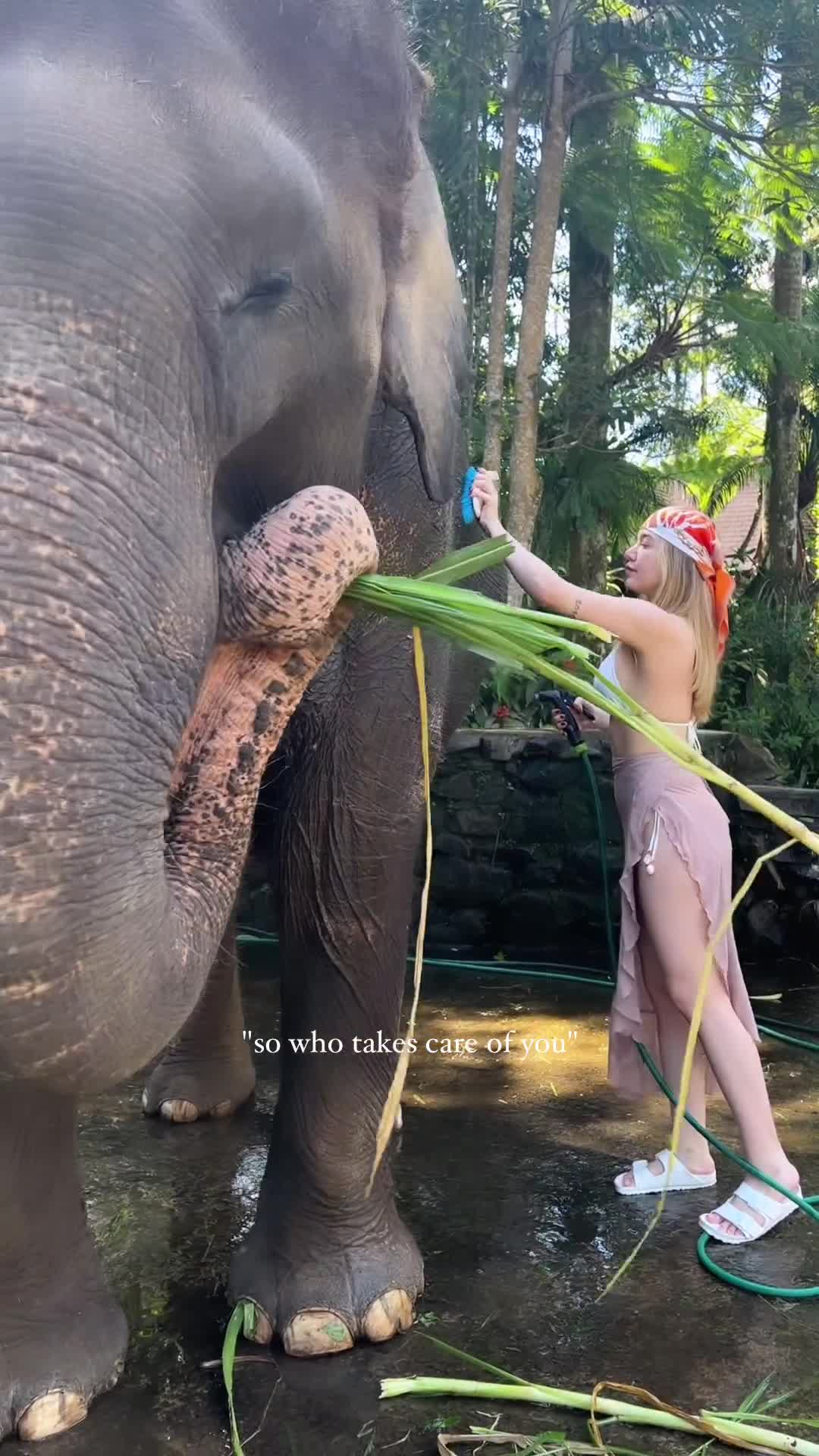 Video 1389559 from miafitz