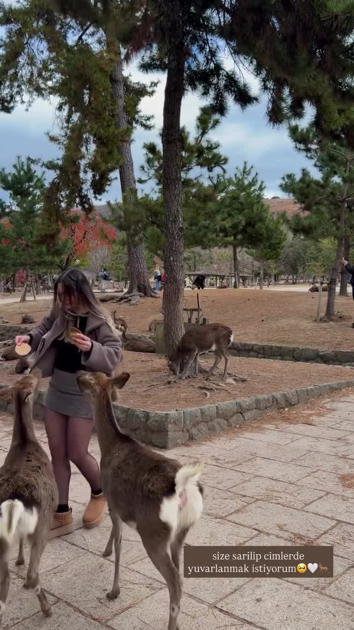 Video 1389596 from miafitz