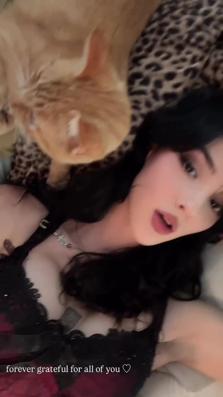 Video 1389692 from Rachel Chaleff / rachelchaleff / svvvn