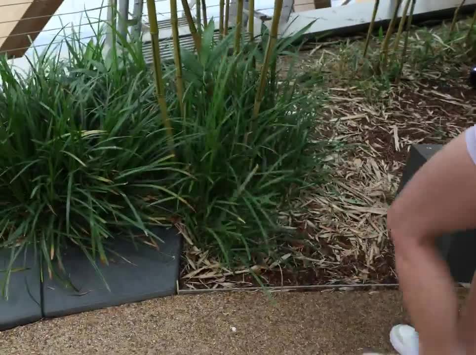 Video 1391792 from Mira.004