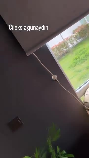 Video 1393746 from Damla Ekmekçioğlu