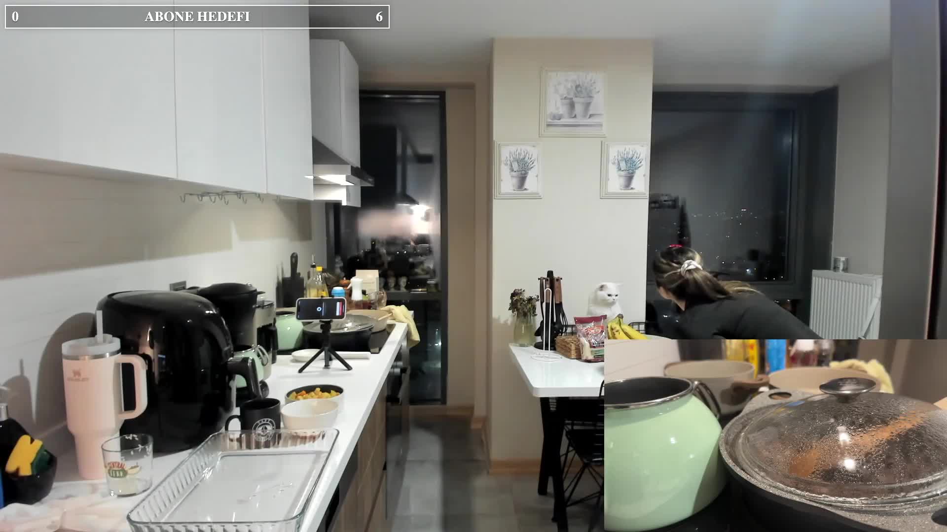 Video 1393954 from Elanur