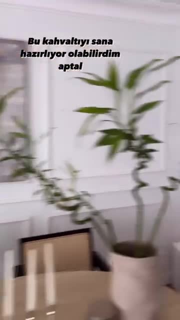 Video 1394270 from Damla Ekmekçioğlu