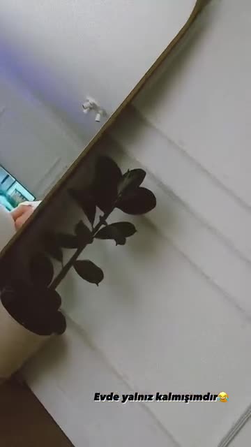 Video 1394272 from Damla Ekmekçioğlu