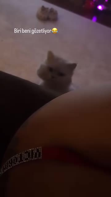 Video 1394273 from Damla Ekmekçioğlu