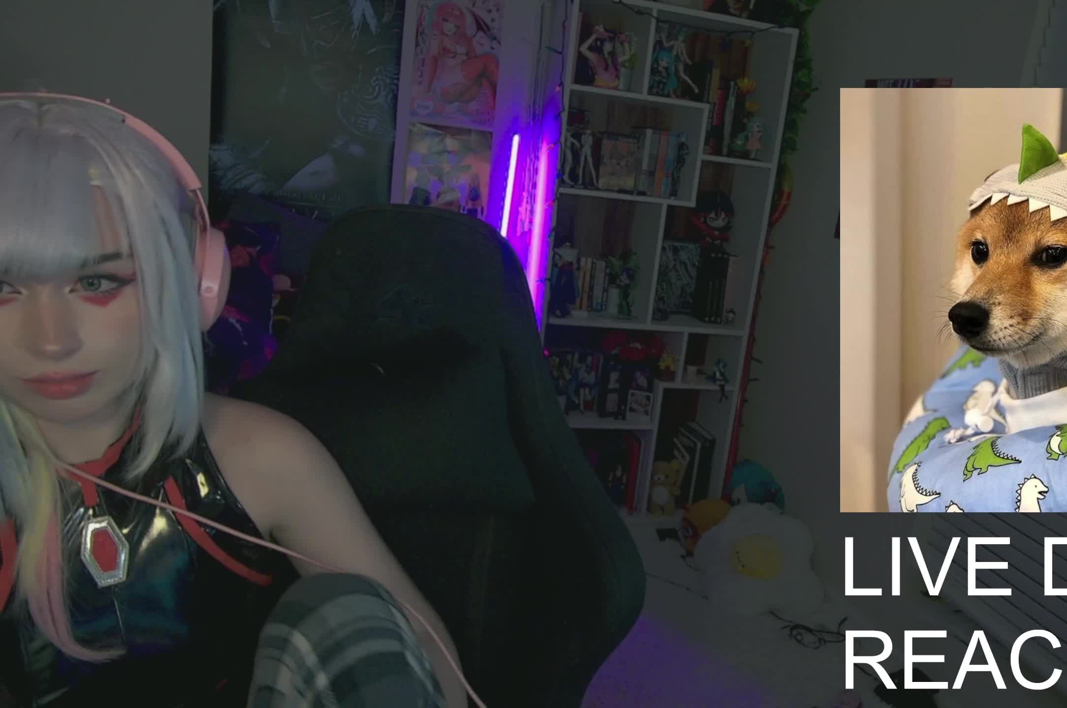 Video 1397607 from Loopziepop