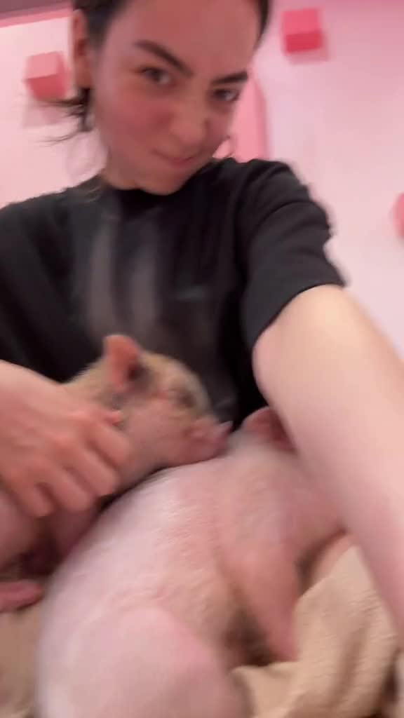 Video 1401506 from Sakura Shymko / sakurashymko