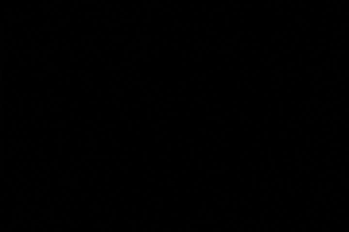 Video 104187 from Shawna Lenee