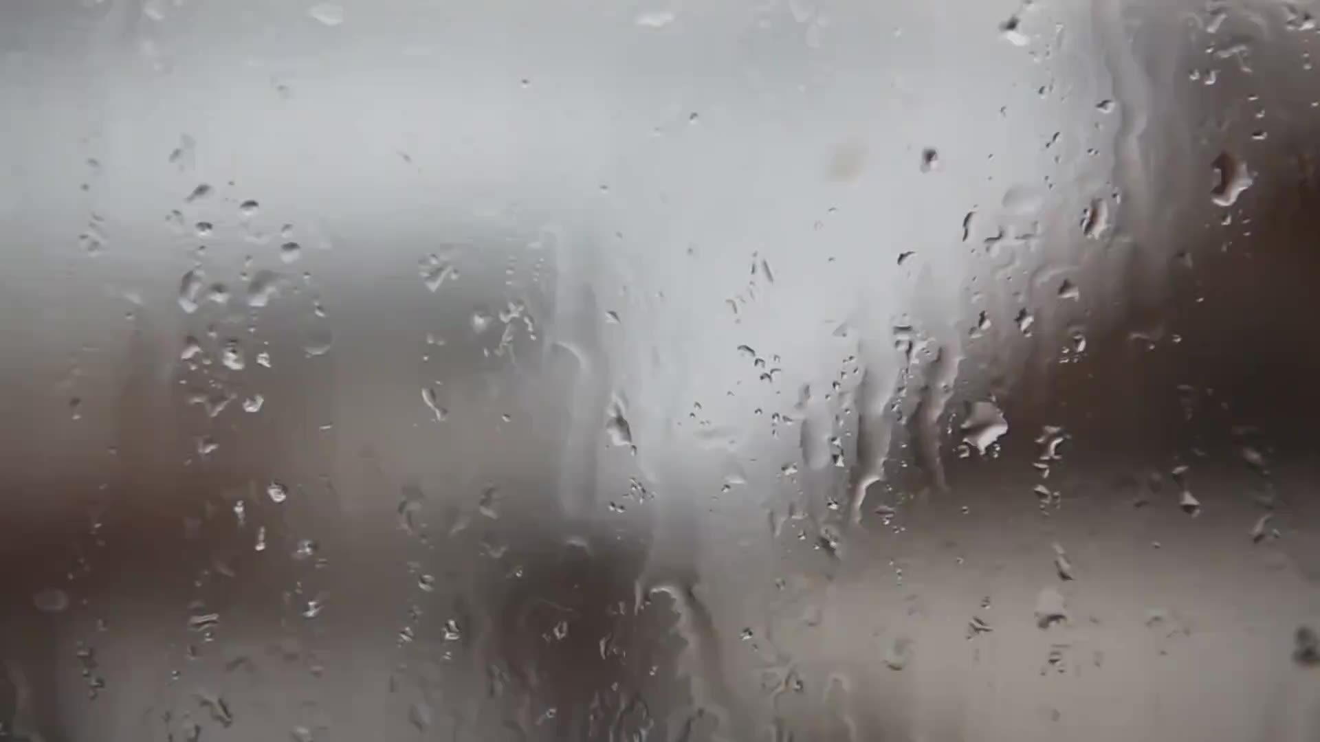 Video 80085 from Ekaterina Zueva
