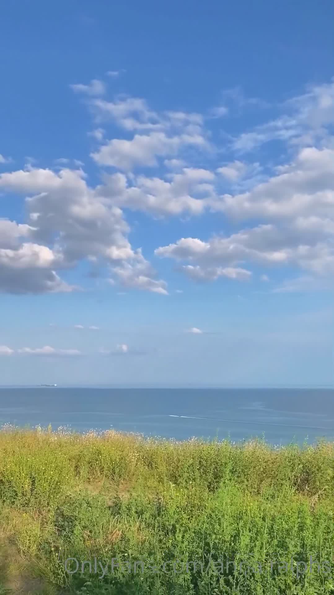 Video 1423146 from Anna Ralphs