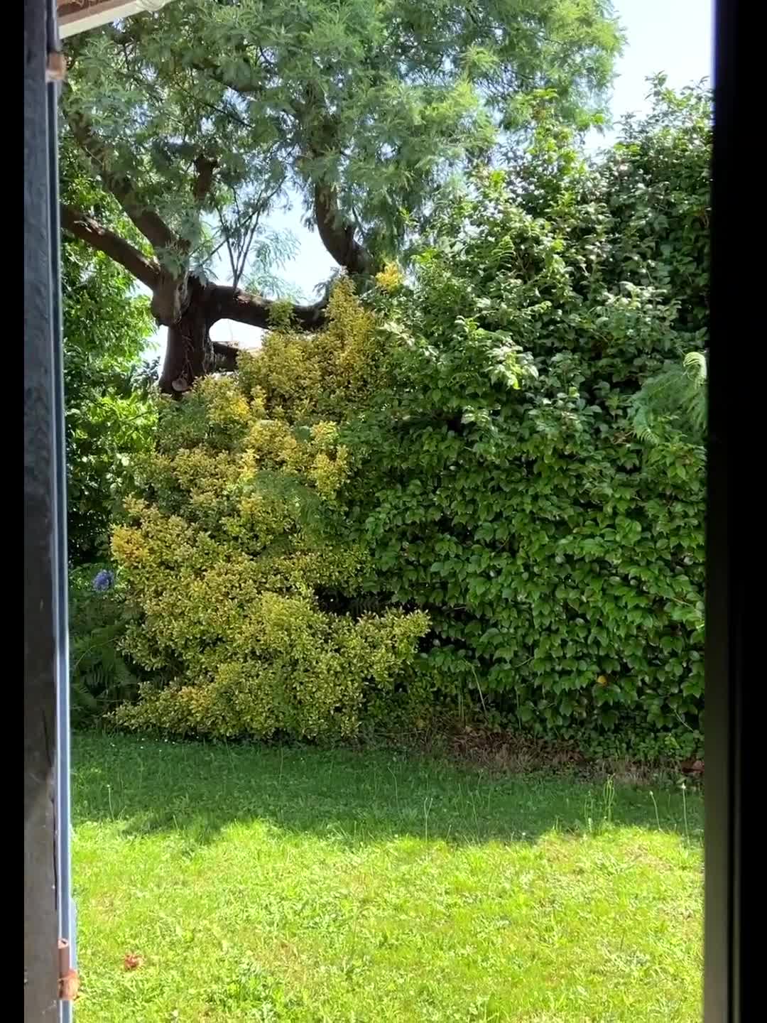 Video 1426435 from Rachel Cook