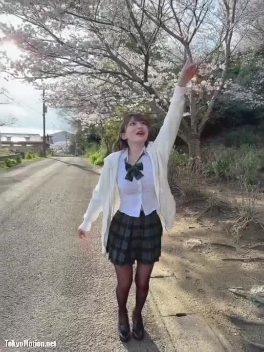 Video 1429687 from Fantasy Factory | komachi | Lilim Azra