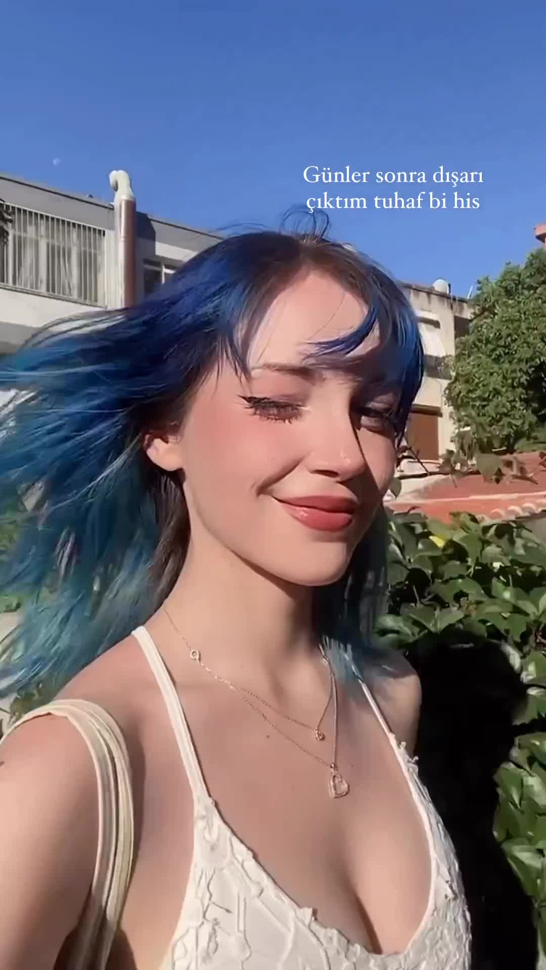 Video 1430630 from Aldreann
