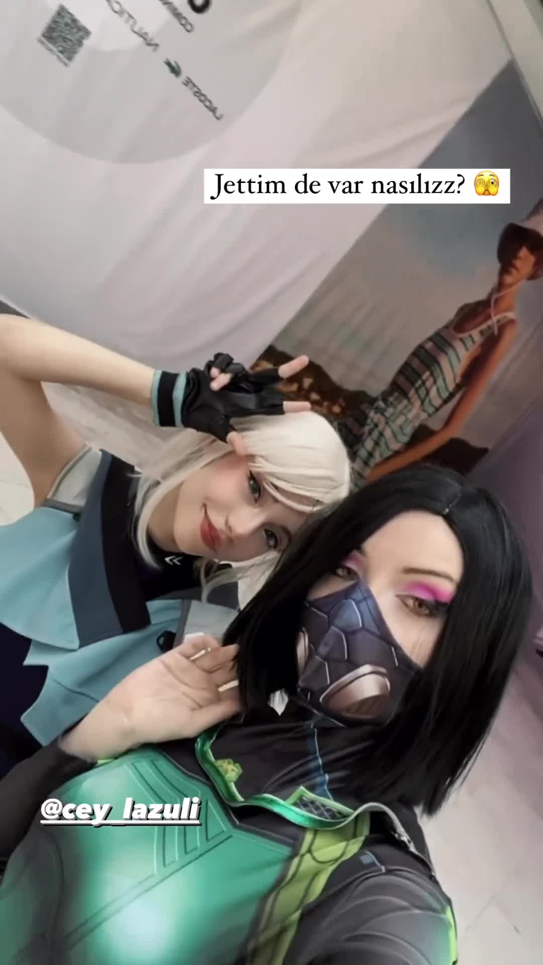 Video 1431178 from Aldreann