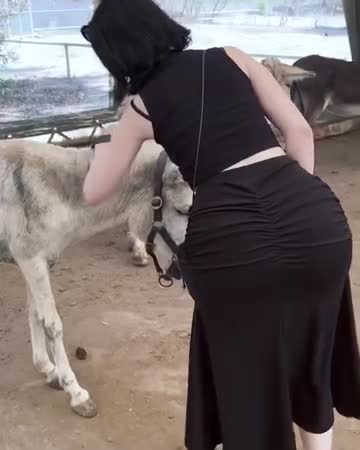 Video 1435868 from epicinternetgf