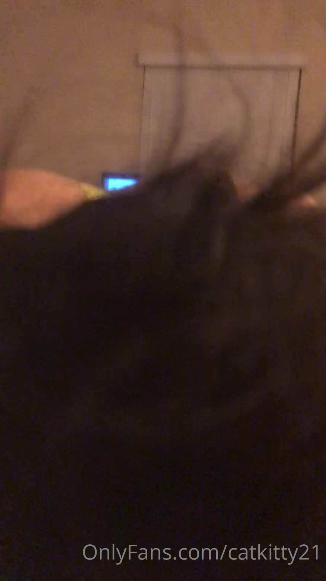 Video 2253 from Catkitty21