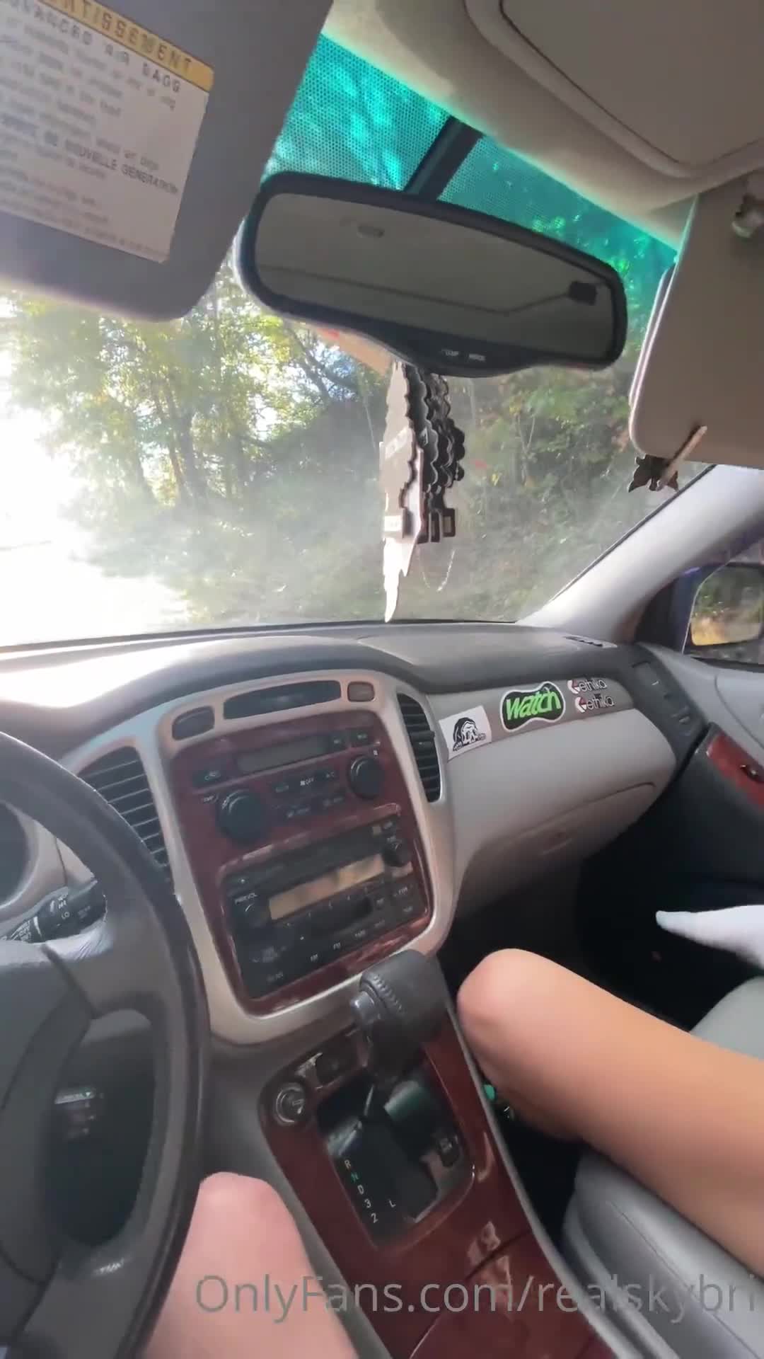 Video 2758 from Sky Bri