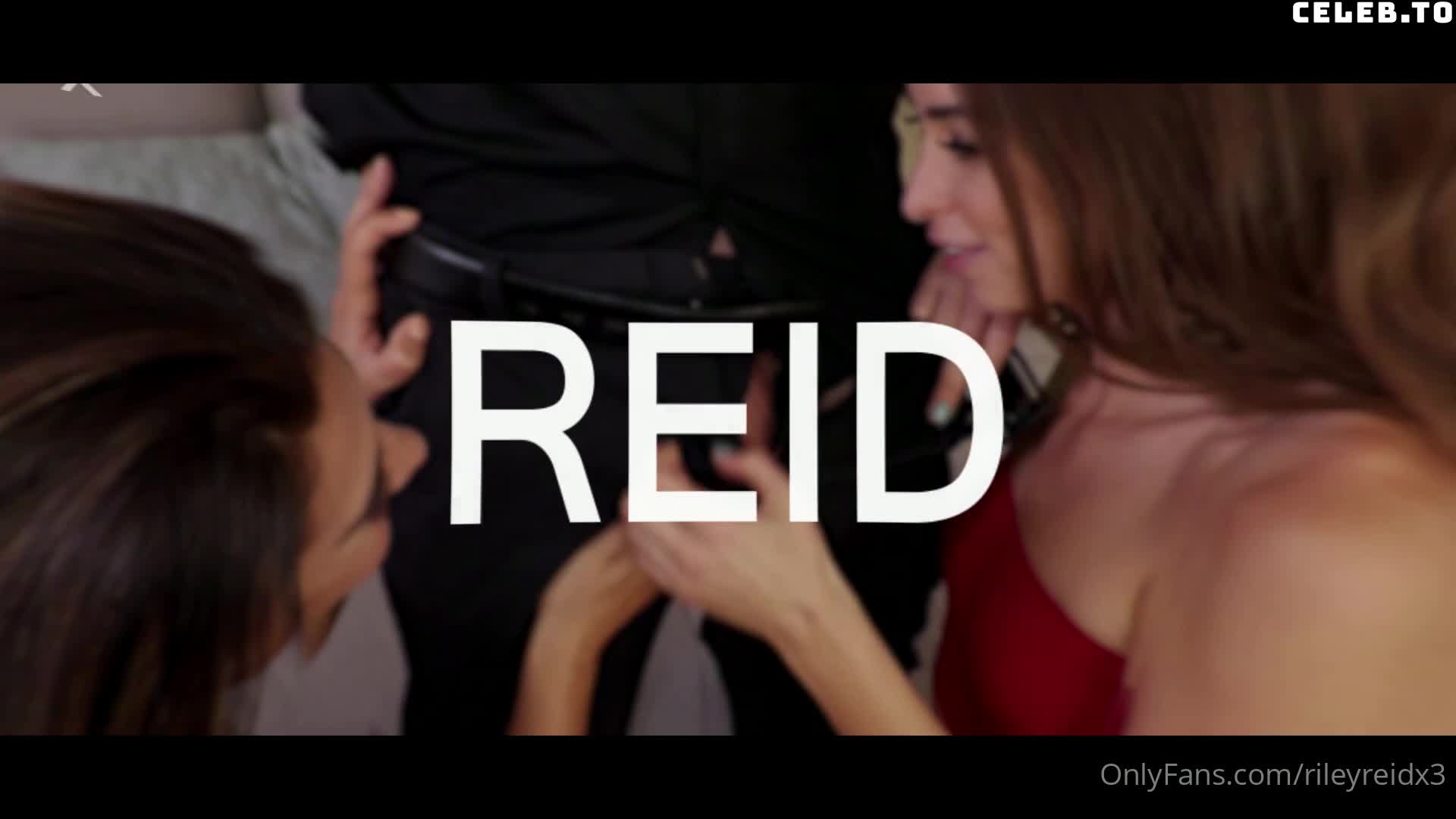 Video 3464 from Riley Reid