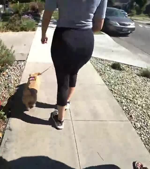Video 3600 from Pokimane