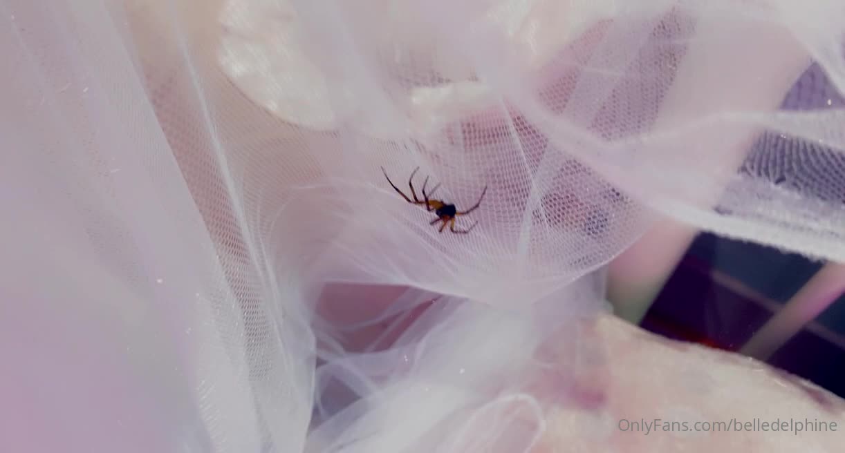 Video 3919 from Belle Delphine