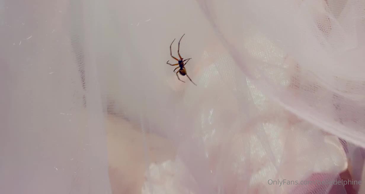 Video 3920 from Belle Delphine