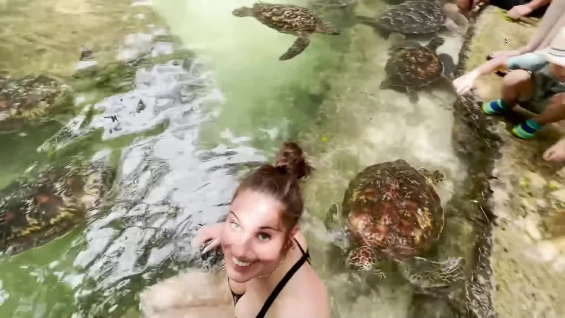 Video 4733 from Faye.sxh
