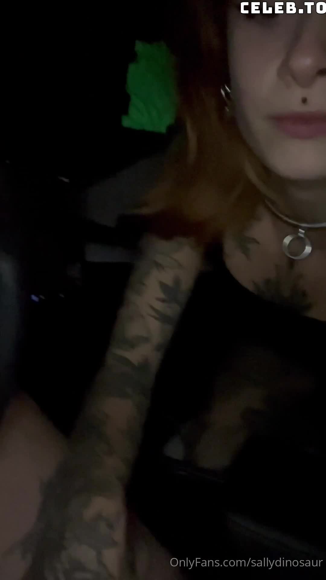Video 5173 from Sallydinosaur