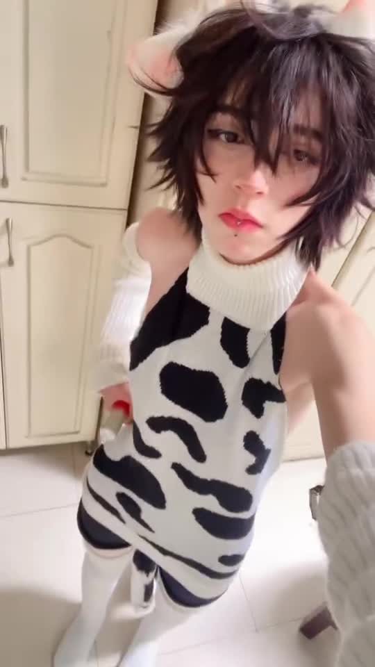 Video 1441556 from 1creppy / bingus cat / _1creepyy