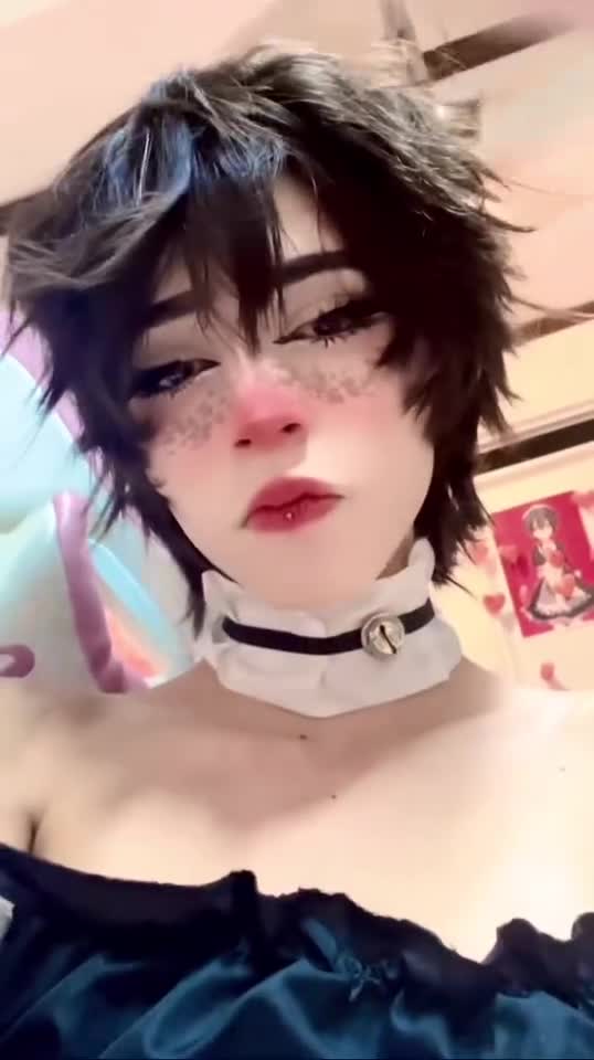 Video 1441558 from 1creppy / bingus cat / _1creepyy