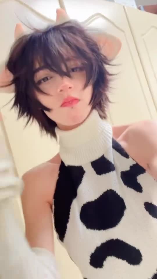 Video 1441561 from 1creppy / bingus cat / _1creepyy