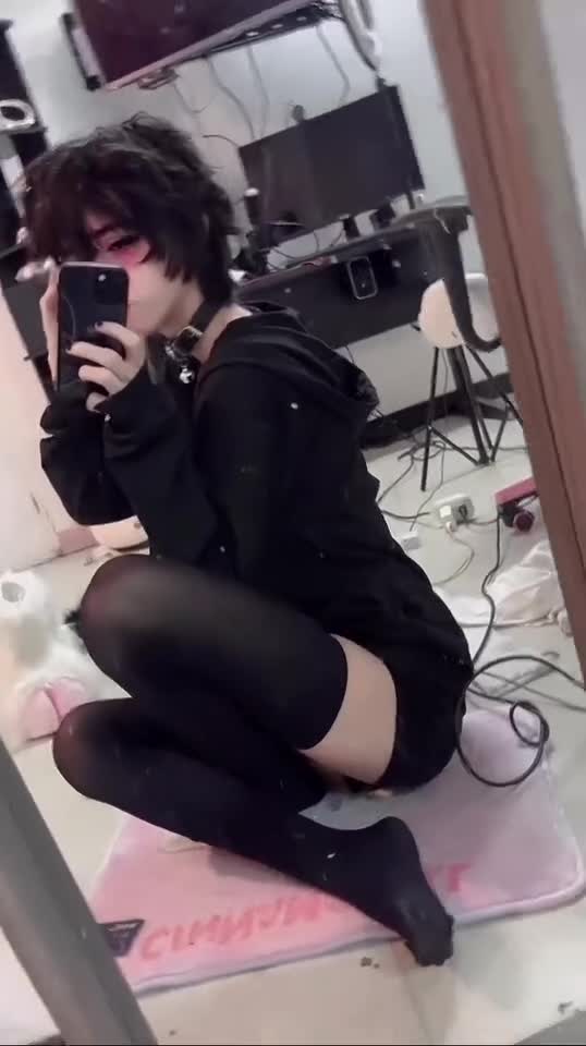 Video 1441562 from 1creppy / bingus cat / _1creepyy