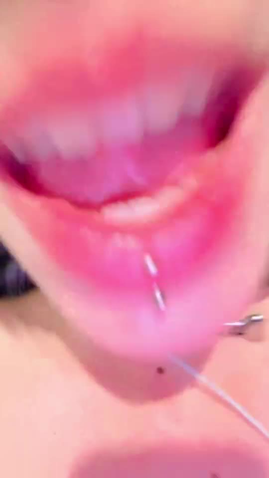 Video 1441564 from 1creppy / bingus cat / _1creepyy