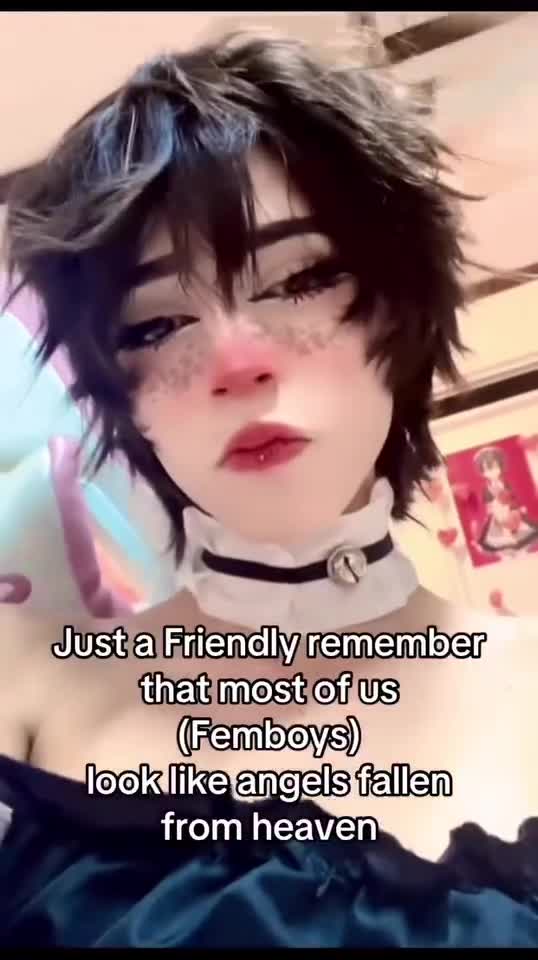 Video 1441565 from 1creppy / bingus cat / _1creepyy
