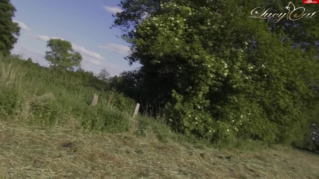 Video 6132 from Just Lucy