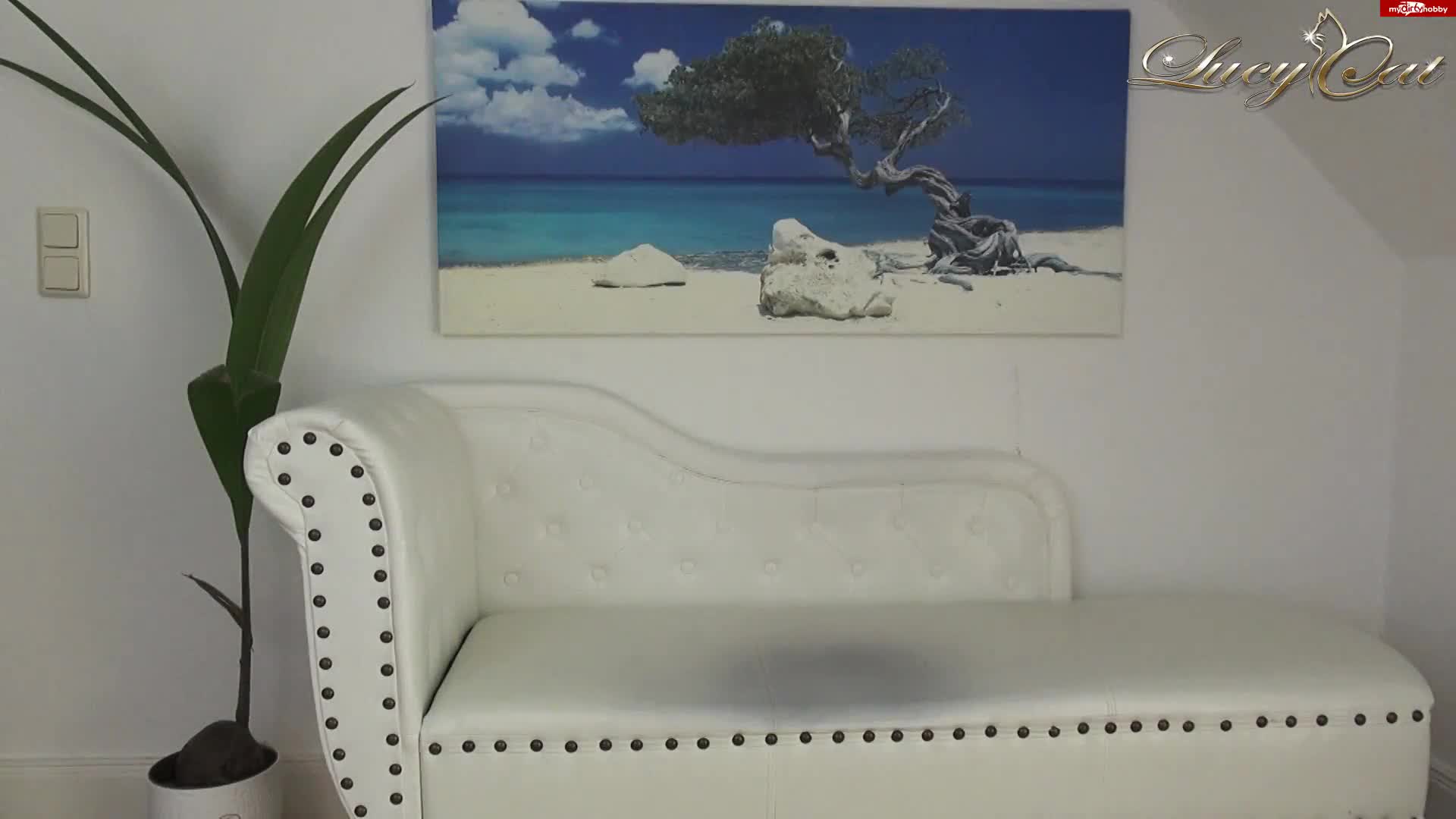 Video 6498 from Just Lucy