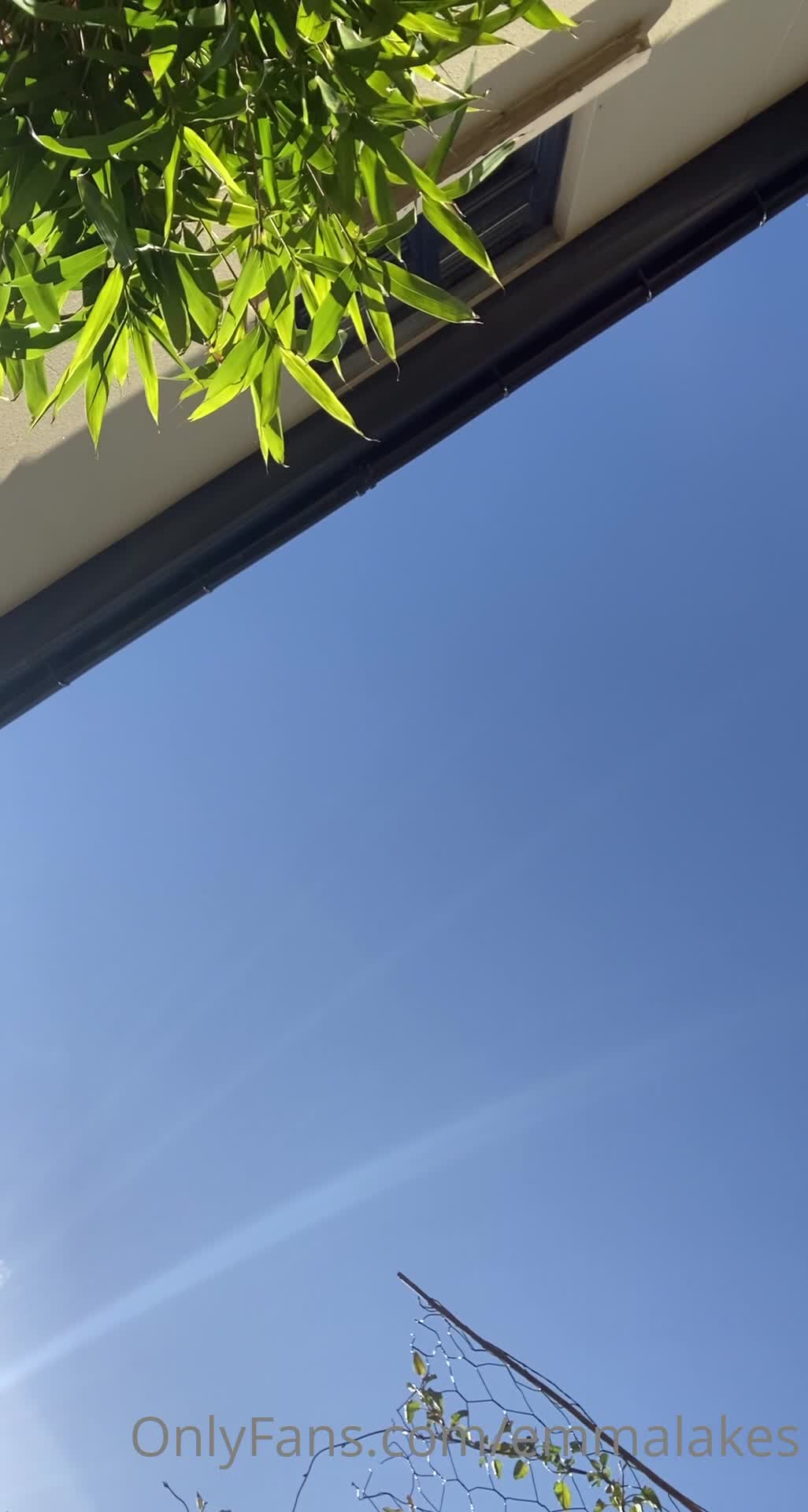 Video 8013 from Emma Lakes