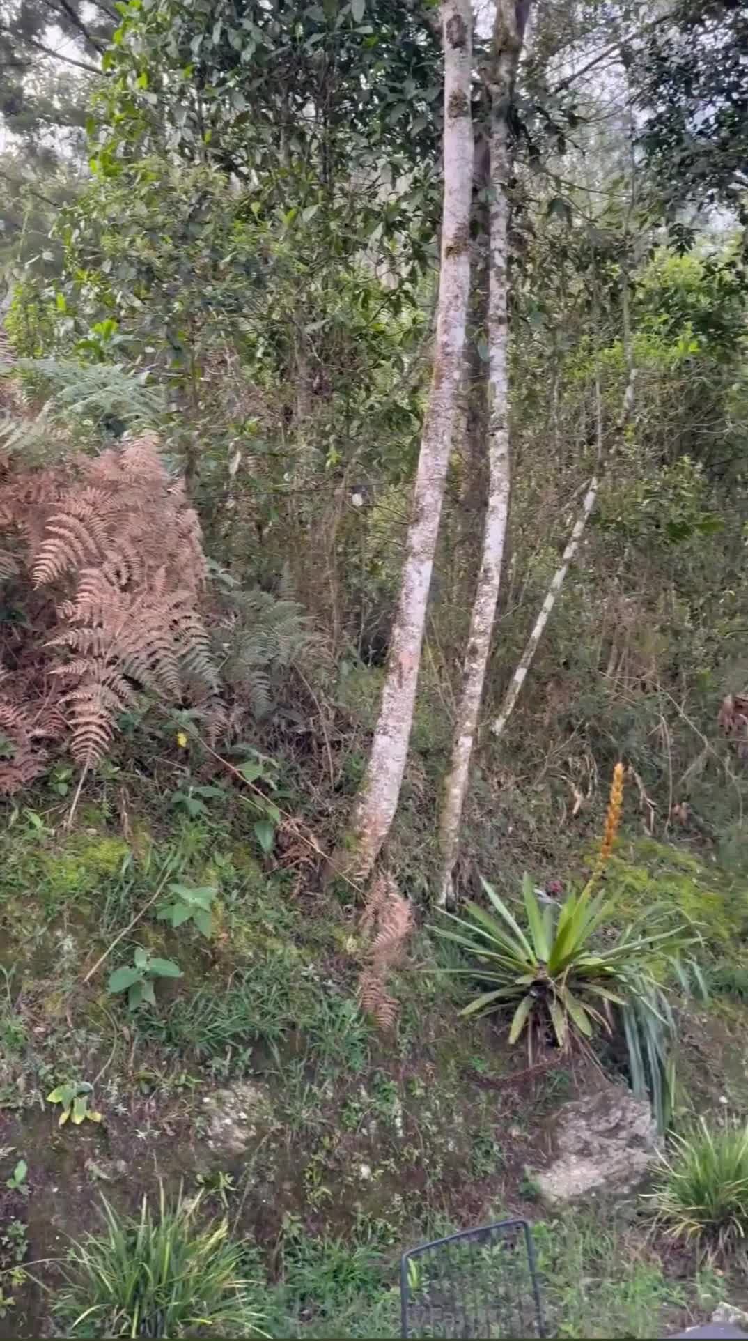 Video 8144 from Mady Gio