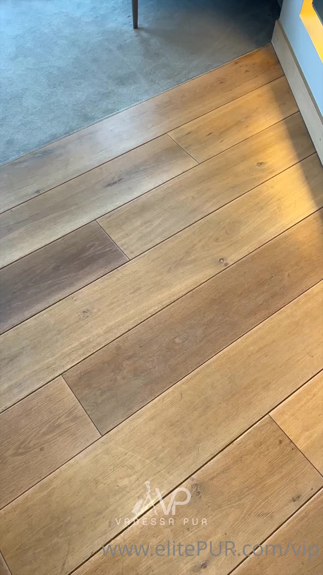 Video 10379 from Vanessa Pur