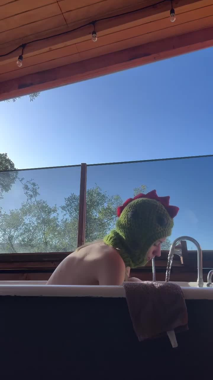 Video 1443049 from bug.universe
