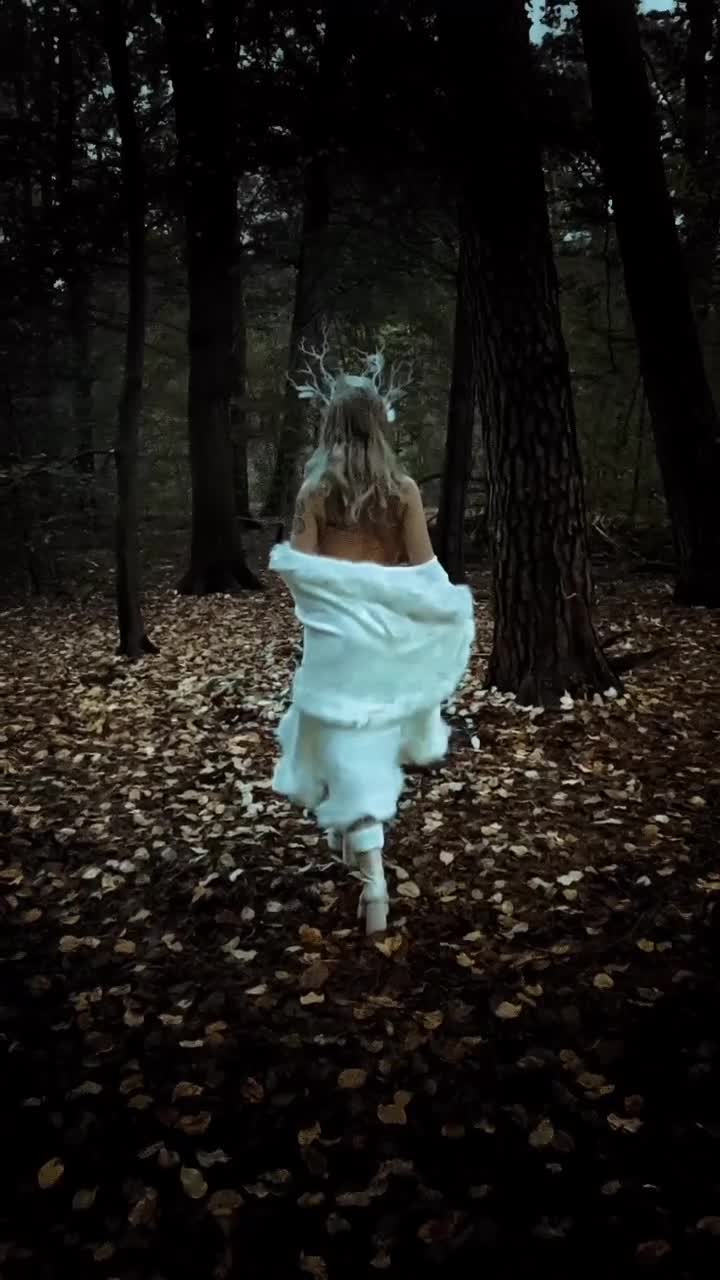 Video 11197 from Kunshikitty
