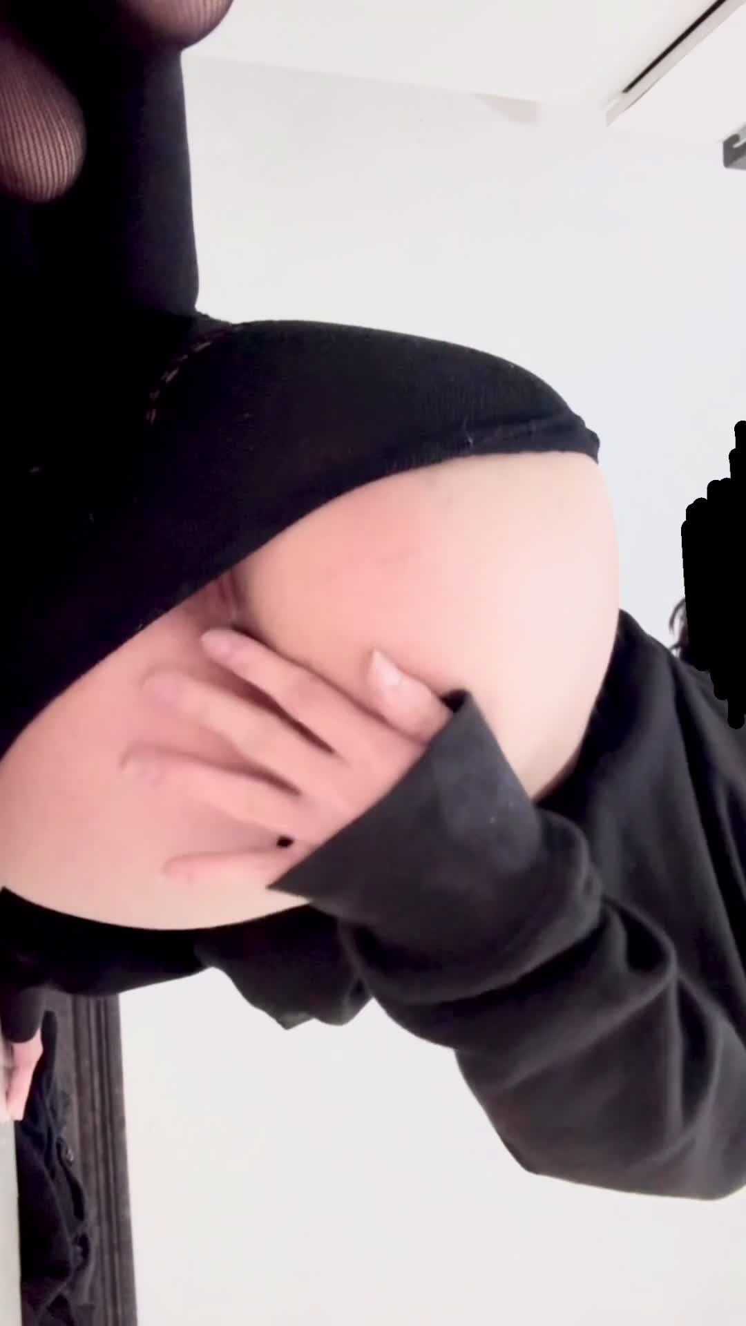 Video 1444897 from 1creppy / bingus cat / _1creepyy