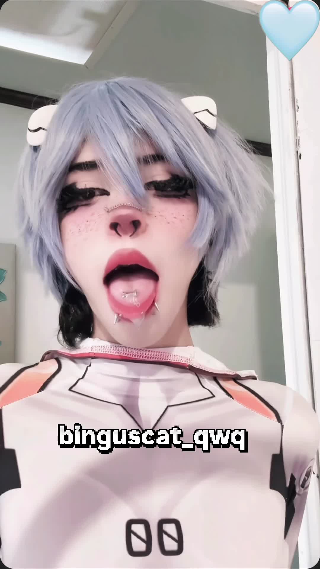 Video 1444906 from 1creppy / bingus cat / _1creepyy